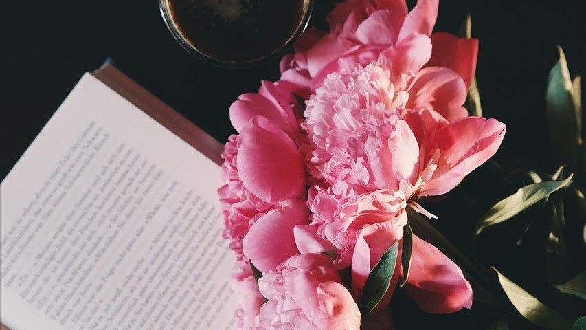 photographie d'un livre ouvert avec une fleur de pivoine